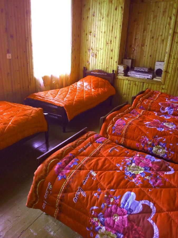 Гостевой дом Lia Jamdeliani Guest House Багвданари-39